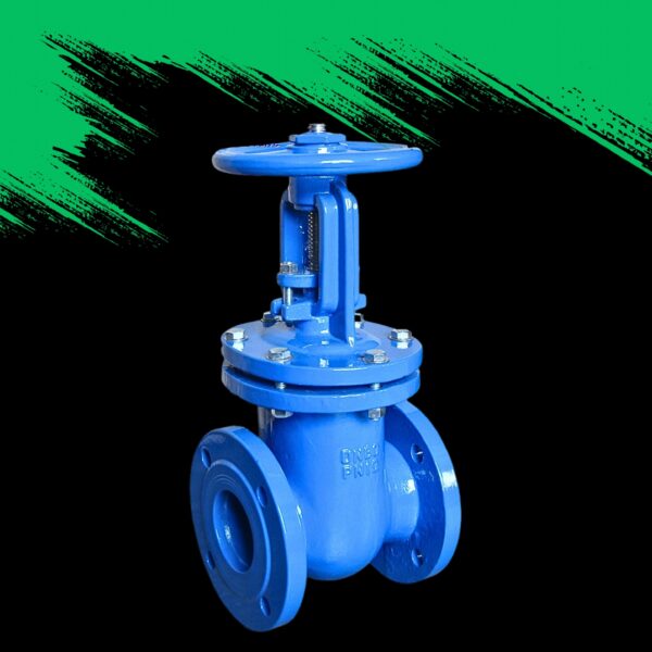 Gate Valve RS